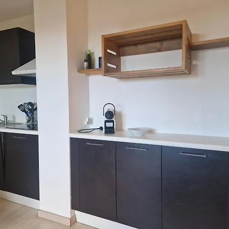 Le Bellevue, 50m Lac, Piscine, Parking, Wifi, Baignade Surveillee شقة