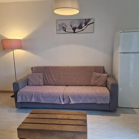 Le Bellevue, 50m Lac, Piscine, Parking, Wifi, Baignade Surveillee شقة *