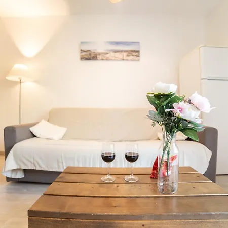 Le Bellevue, 50m Lac, Piscine, Parking, Wifi, Baignade Surveillee Aureilhan